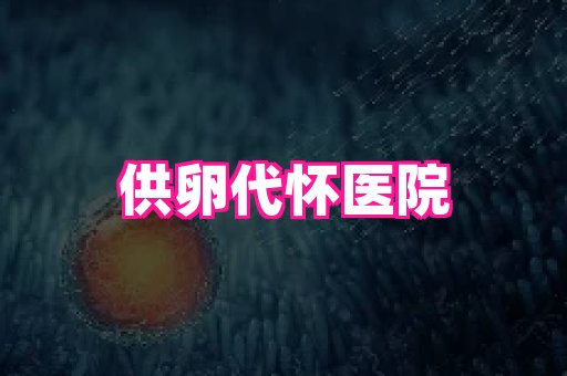 swisee孕网 1