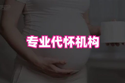 swisee孕网 4